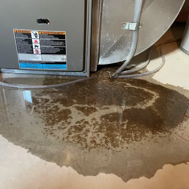 Appliance Leak Cleanup in North Lewisburg, OH